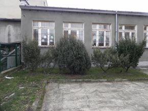 Inwentaryzacja dendrologiczna w Radomiu