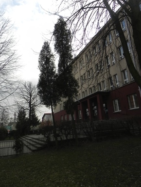 Inwentaryzacja dendrologiczna w Radomiu