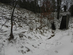 Inwentaryzacja dendrologiczna w Siemirowicach