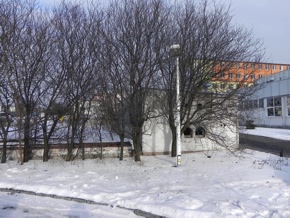 Inwentaryzacja dendrologiczna w Toruniu
