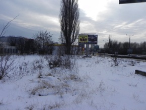 Inwentaryzacja dendrologiczna w Toruniu
