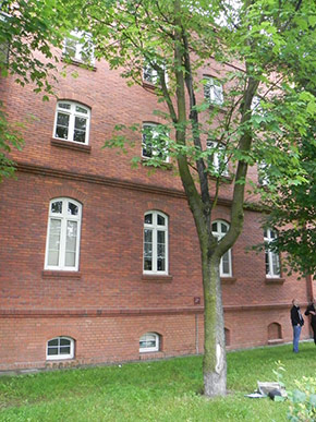 Inwentaryzacja dendrologiczna w Bydgoszczy