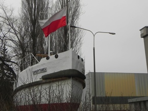 Inwentaryzacja dendrologiczna w Gdyni
