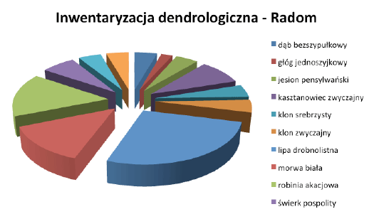 Inwentaryzacja dendrologiczna w Radomiu