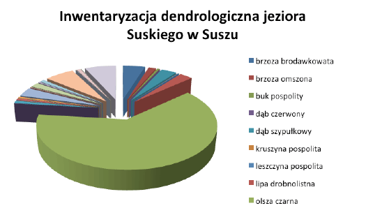 Inwentaryzacja dendrologiczna w Gdyni