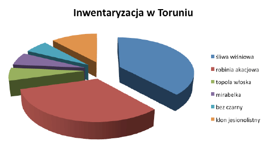 Inwentaryzacja dendrologiczna w Toruniu